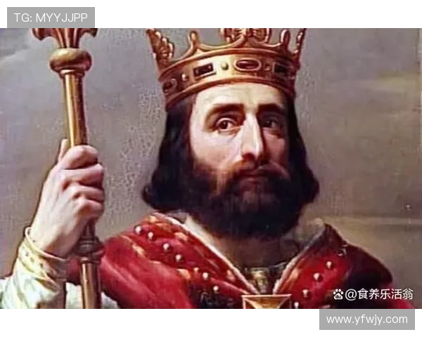 王权之路:一位皇子的权力斗争与家族纷争的传奇历程